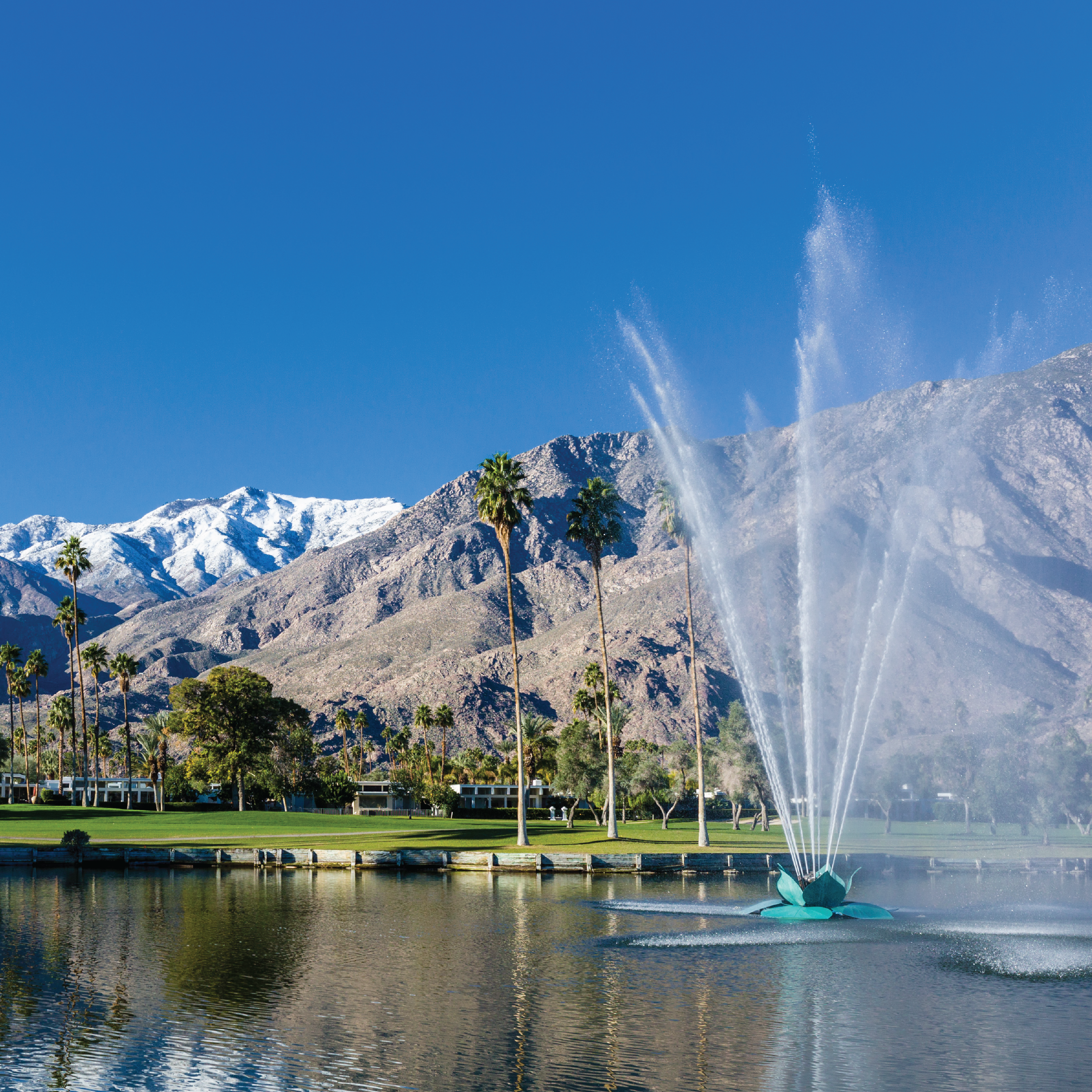 Indian Canyons Golf Resort (South Course)